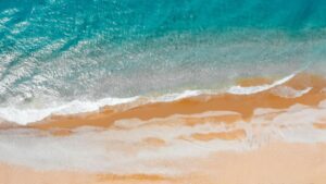ANEX | Alarcha Hotels & Resorts 5* ANEX | Alarcha Hotels & Resorts 5*