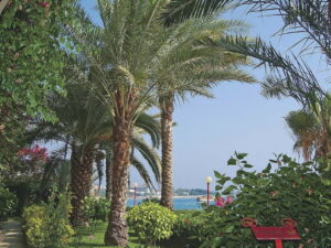 ANEX | Rubi Hotel 5* ANEX | Rubi Hotel 5*