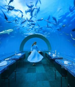 ANEX | You & Me Maldives 5* ANEX | You & Me Maldives 5*