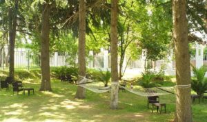 ANEX | Bridge Resort 4* ANEX | Bridge Resort 4*